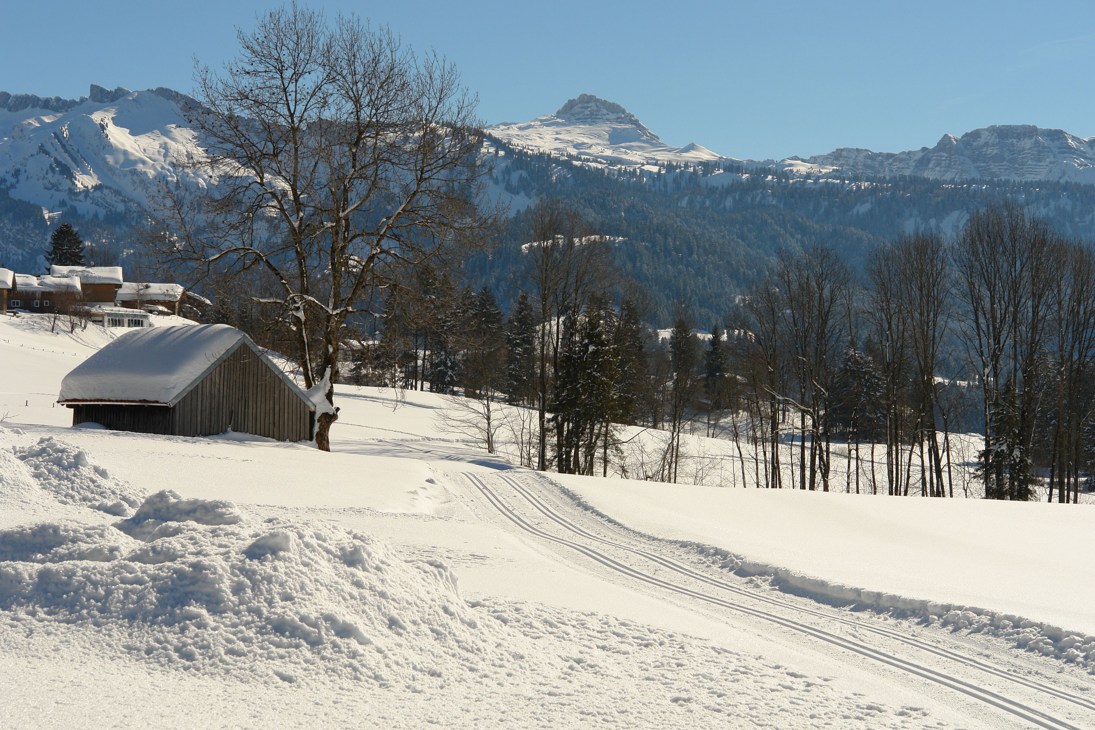 A snow-covered landscape with a wooden cabin and a mountain in the background.