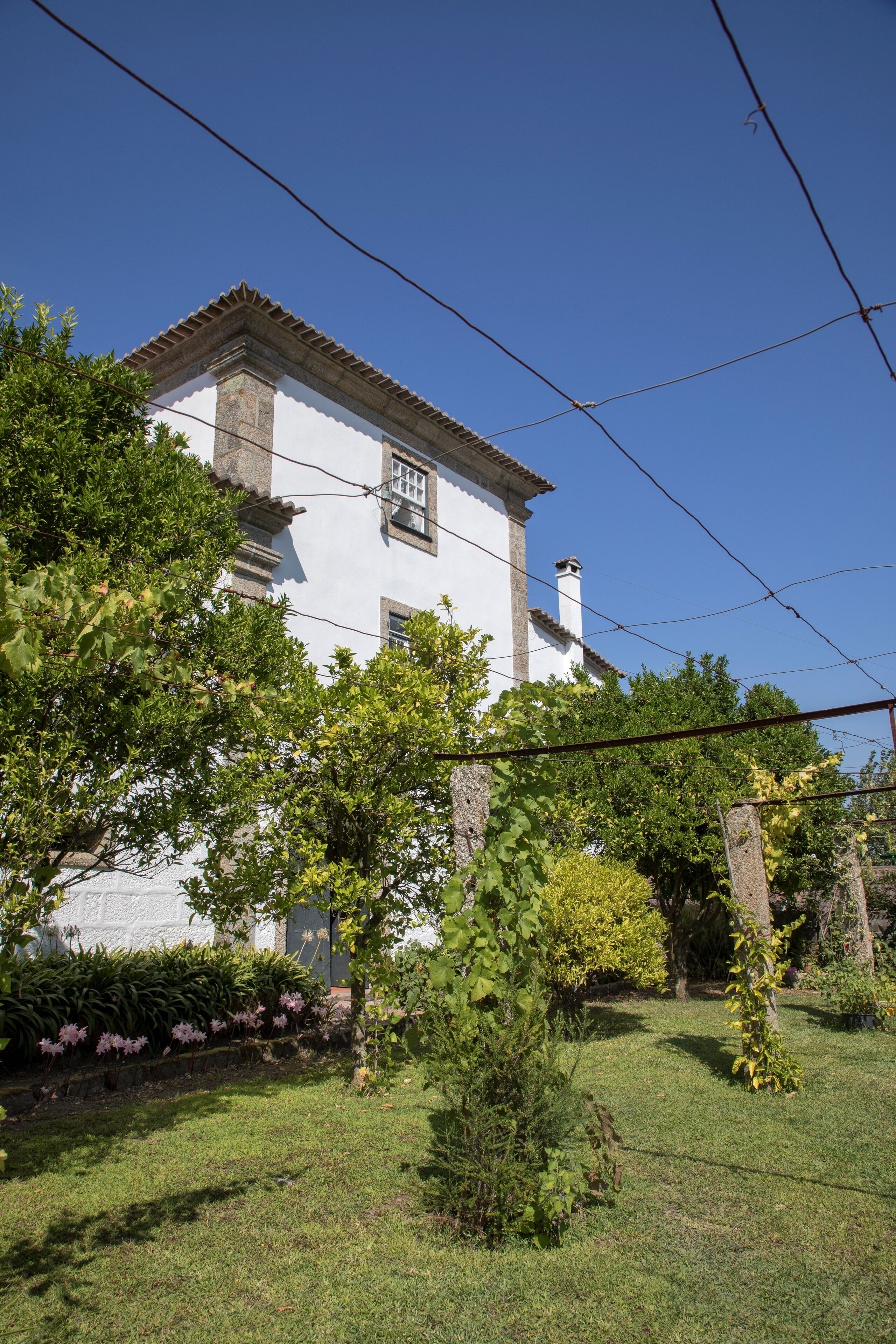 Foto - Casa do Ribeiro