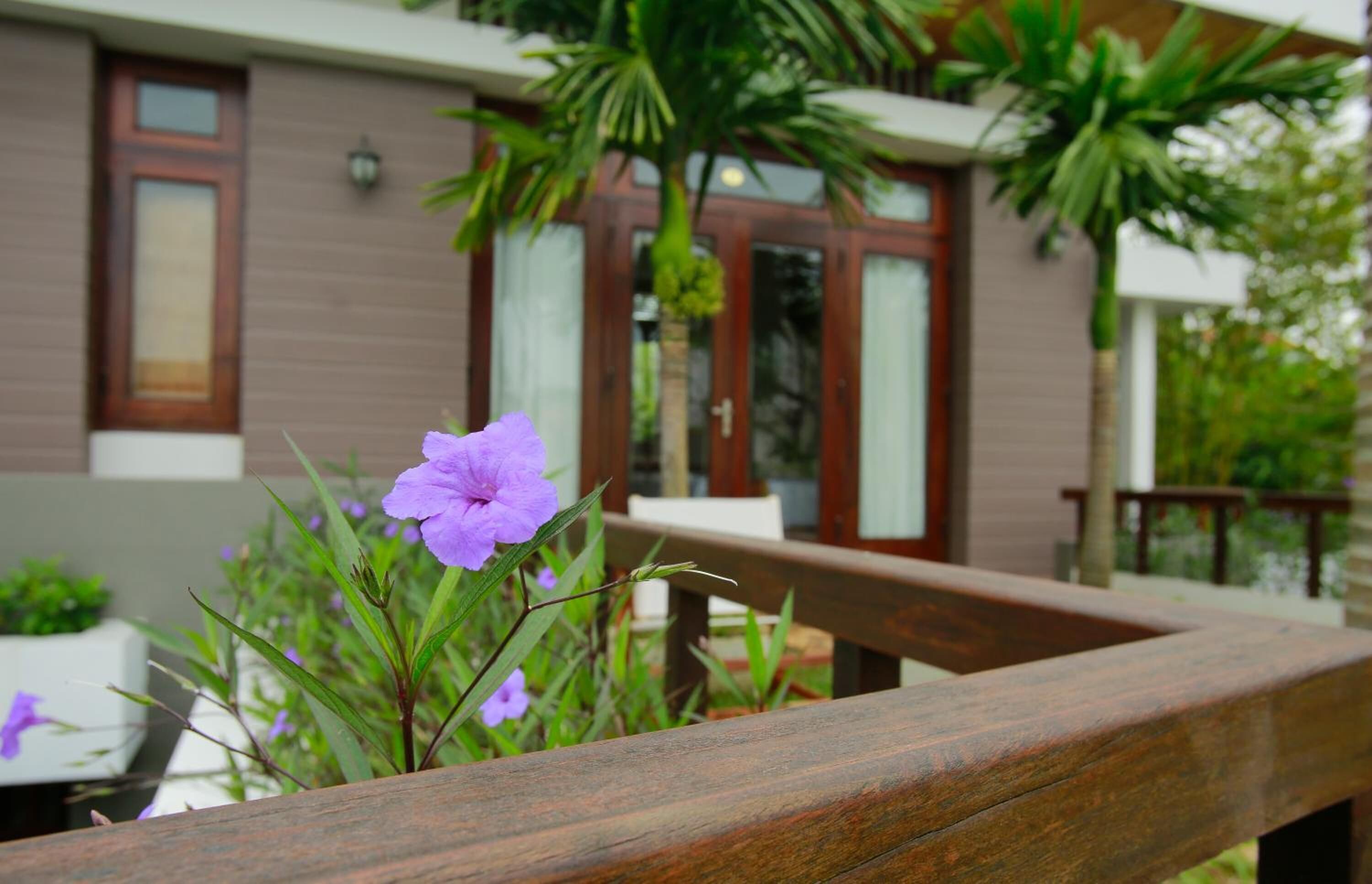 Eine hölzerne Bank mit einer violetten Blume im Vordergrund, ein Gebäude mit einer braunen Tür und Fenstern sowie eine Palme im Hintergrund.