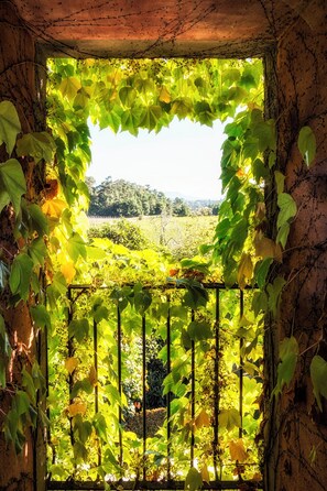 Suite | Blick von der Unterkunft