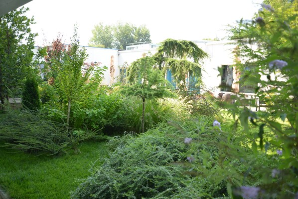 A lush garden with various plants and trees, a small stream, and a building in the background. - Hotel Bavaria Blu (Constanta)