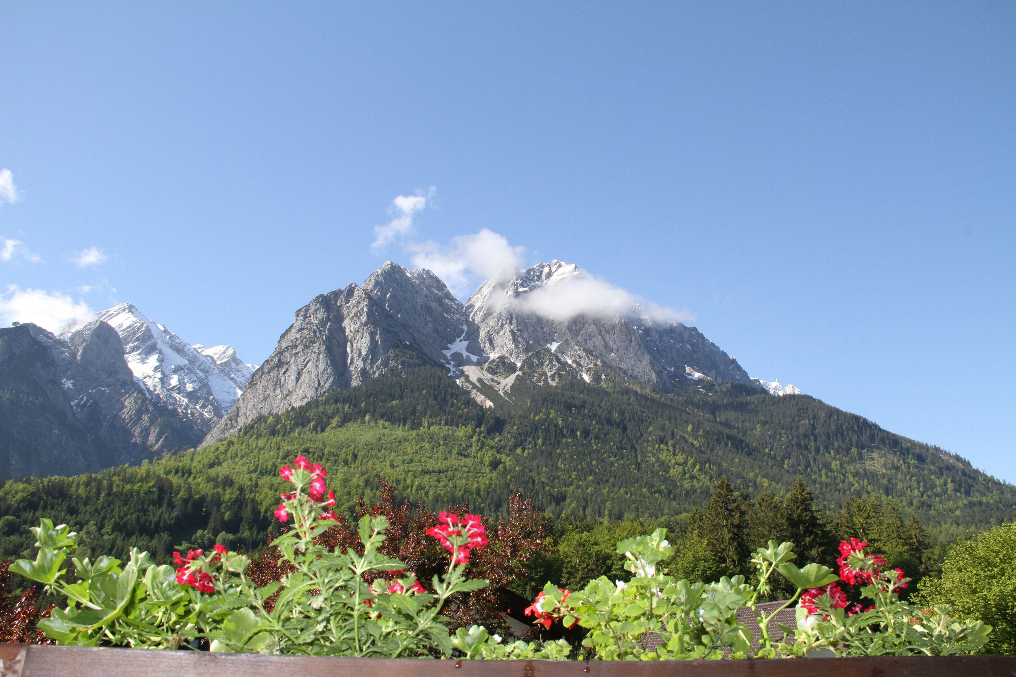 A mountain landscape with snow-capped peaks and a forested valley.