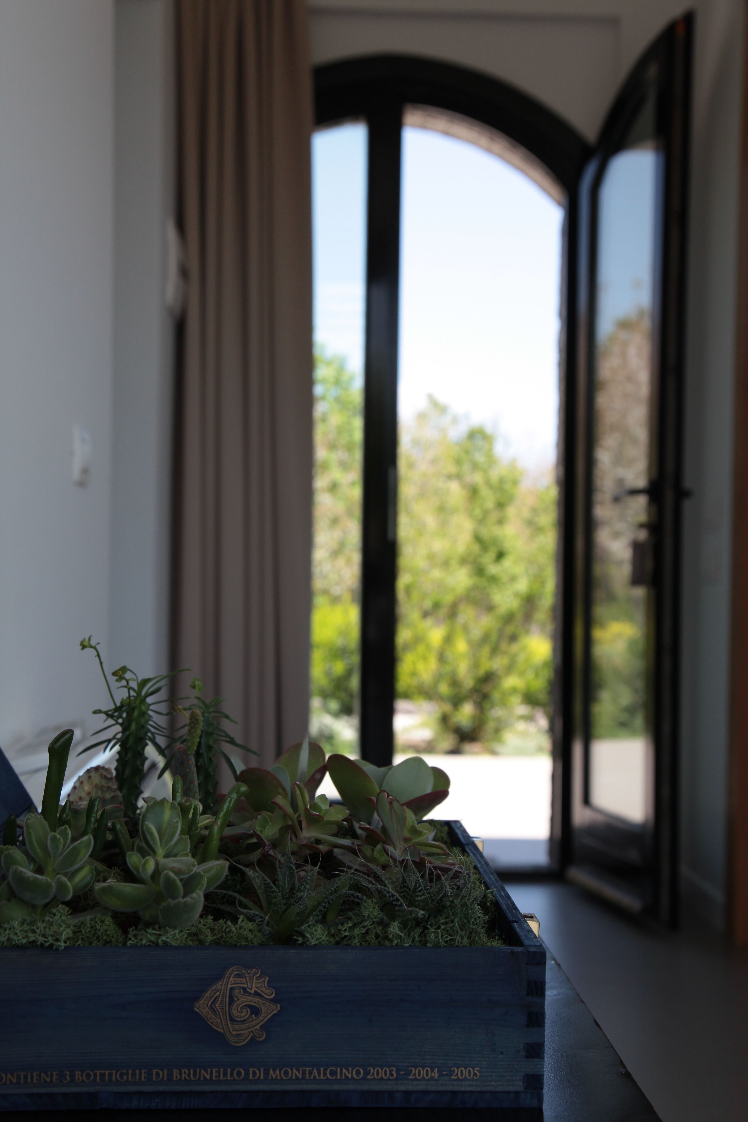 Ein hölzerner Pflanzkasten mit Sukkulenten auf einem Balkon.