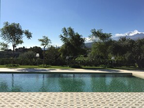 Piscina com deck revestido, rodeada por vegetação exuberante e árvores.