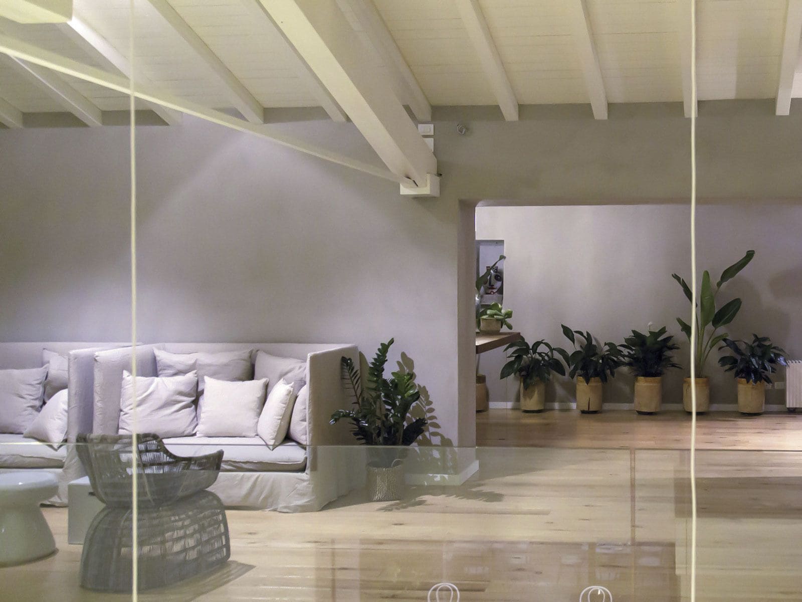 A spacious living area with a light-colored sofa, a glass coffee table, and several potted plants.
