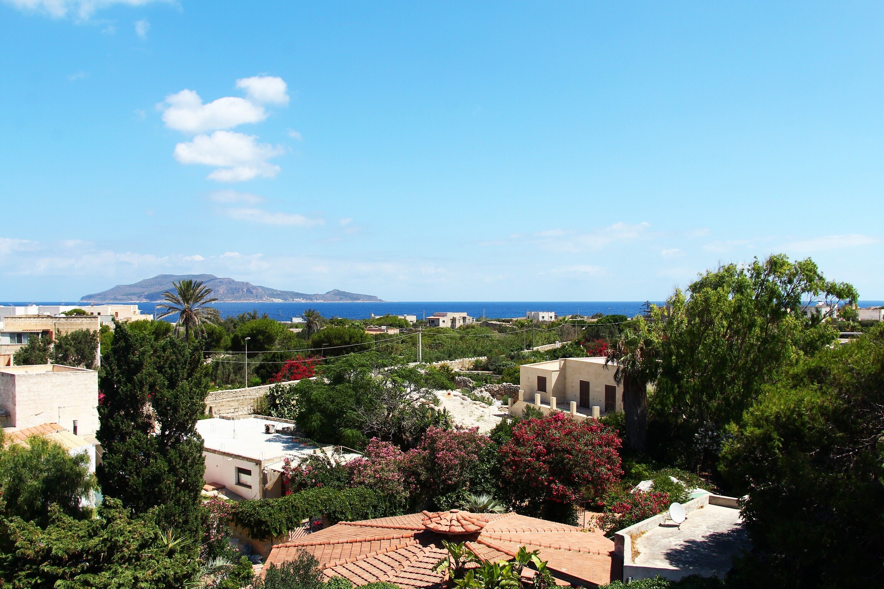 A coastal residential area with buildings, trees, and a view of the sea and a mountain.
