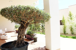 Vista al jardín