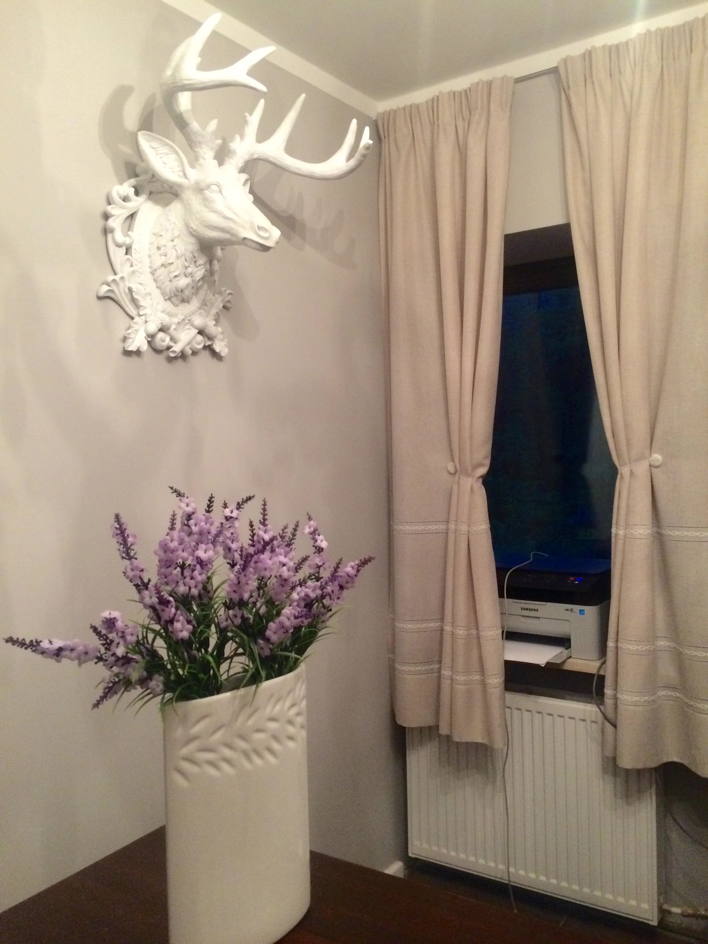 A room with a decorative deer head mounted on the wall, a potted plant with purple flowers, and a window with beige curtains.