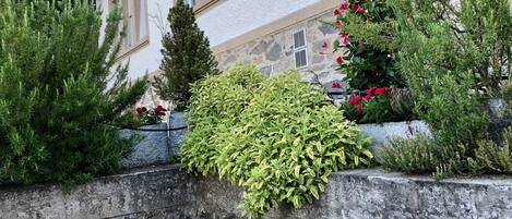 Entrada de la propiedad