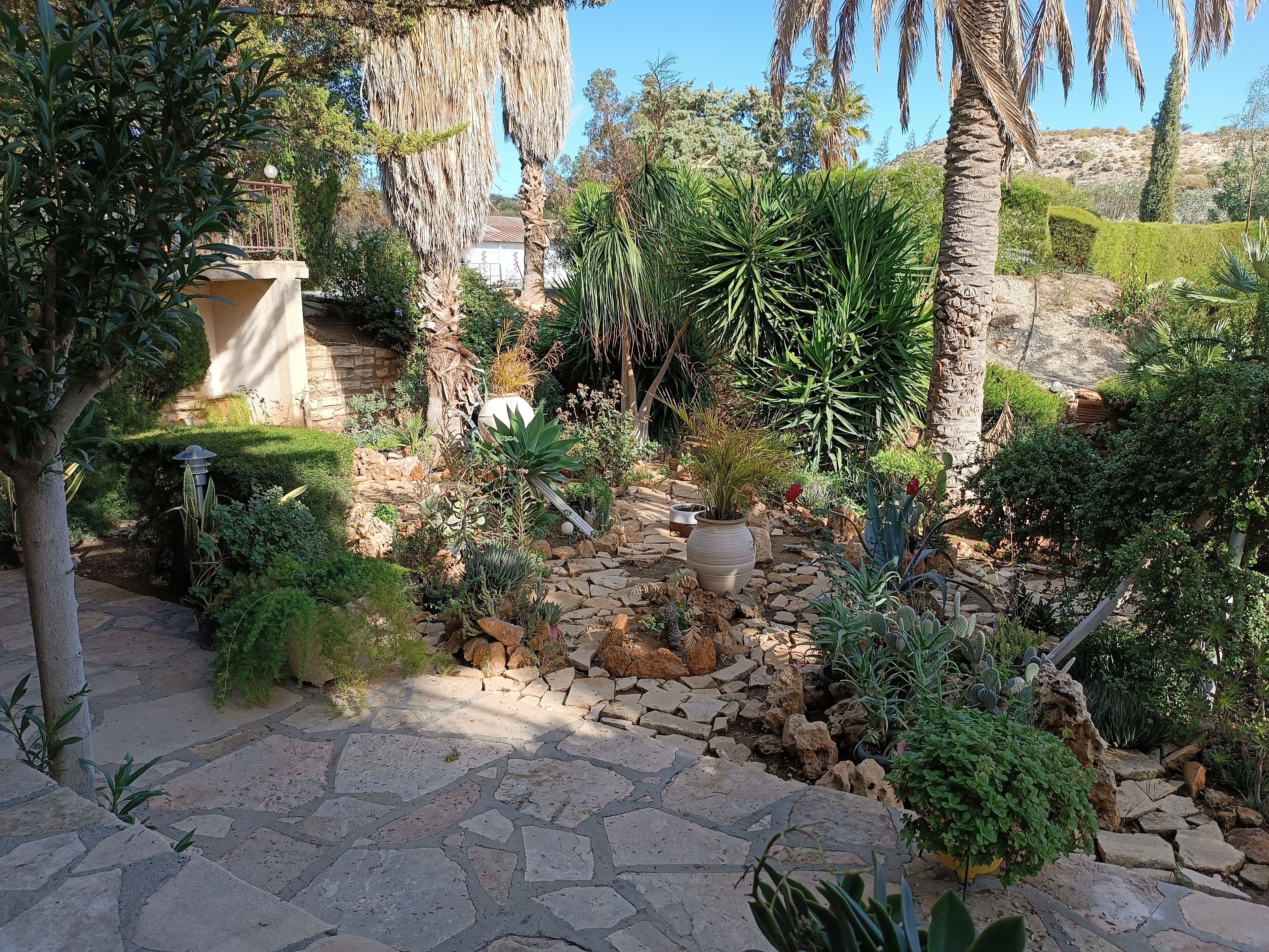 A garden with a stone pathway, various plants, and a small water feature.