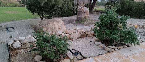 Un jardin aménagé avec un grand arbre, une formation rocheuse et une zone pavée.