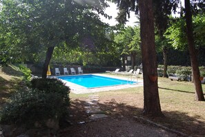 A rectangular swimming pool with a stone pathway leading to it, surrounded by lush greenery and trees. - Hotel Stella Alpina (Malcesine)