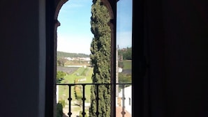 A view from a window with a wrought iron balcony, overlooking a green landscape with trees and a distant building. - Herdade da Maxuqueira (Gaviao)
