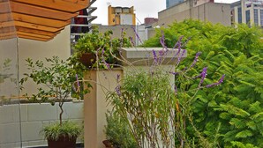 A rooftop garden with potted plants and a wooden pergola. - Senia Reforma (Mexico City)