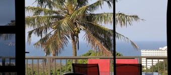 Kingston Place Guest House