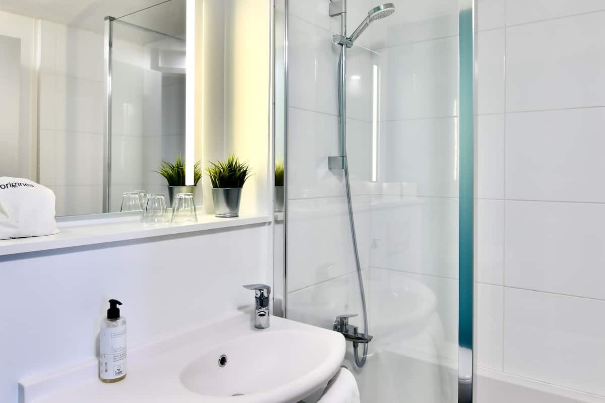 Eco-friendly toiletries, hair dryer, towels