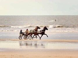 A beach scene with a horse-drawn carriage and two people.