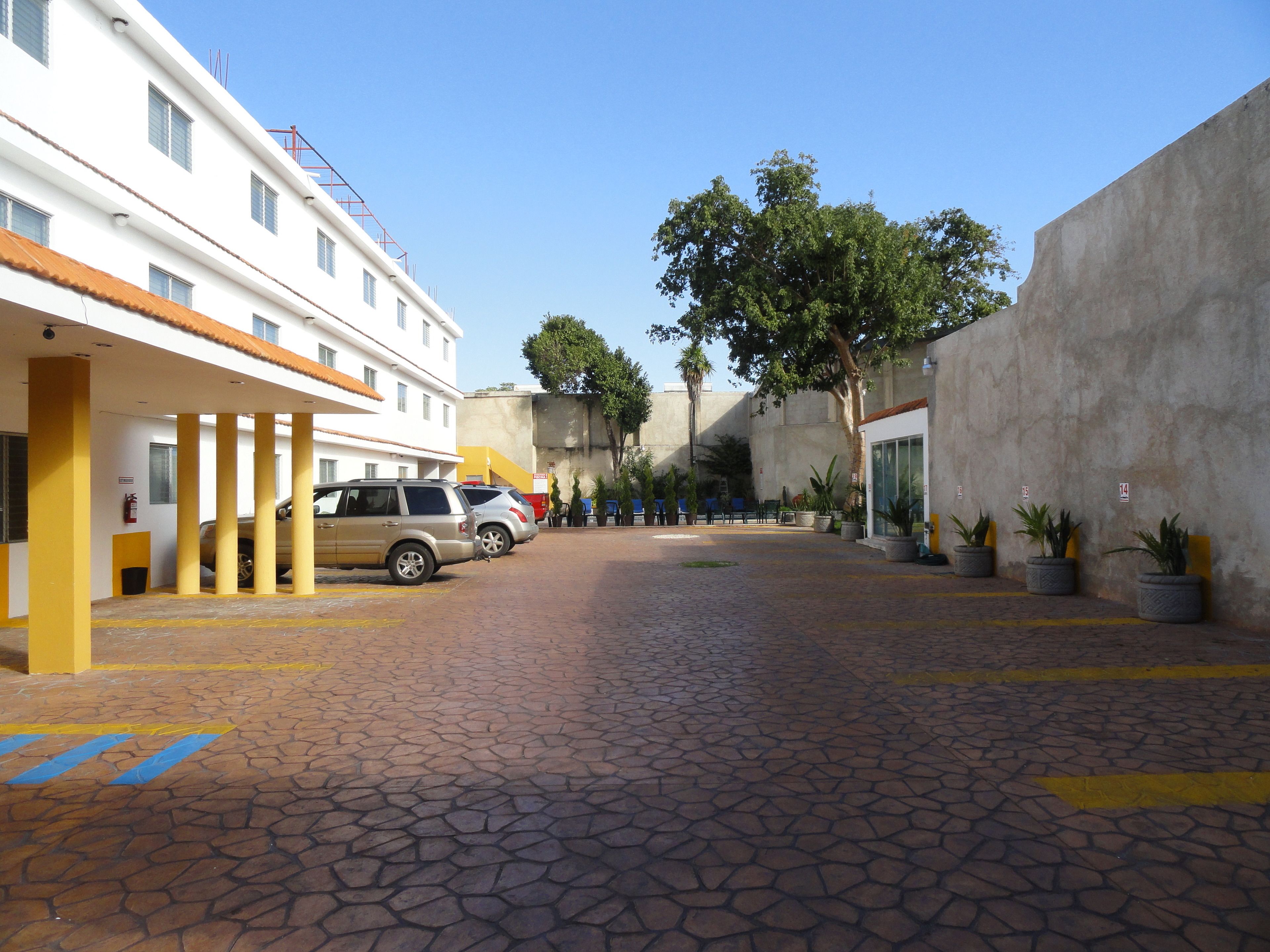 Foto - Las Dalias Inn