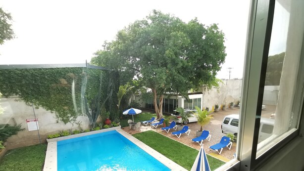 A swimming pool with lounge chairs and umbrellas, surrounded by greenery and a building in the background. - Las Dalias Inn (Mérida)
