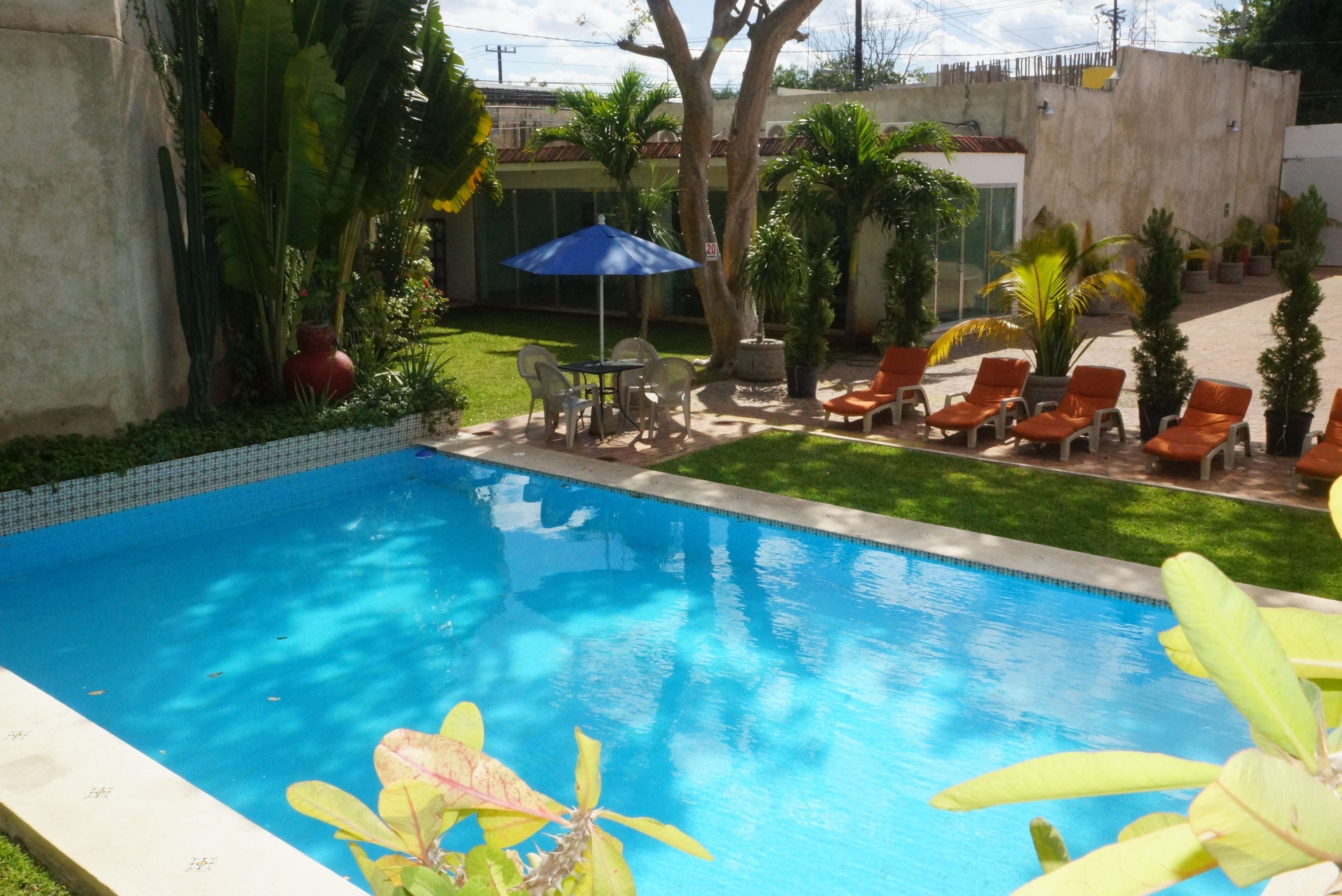 Foto - Las Dalias Inn