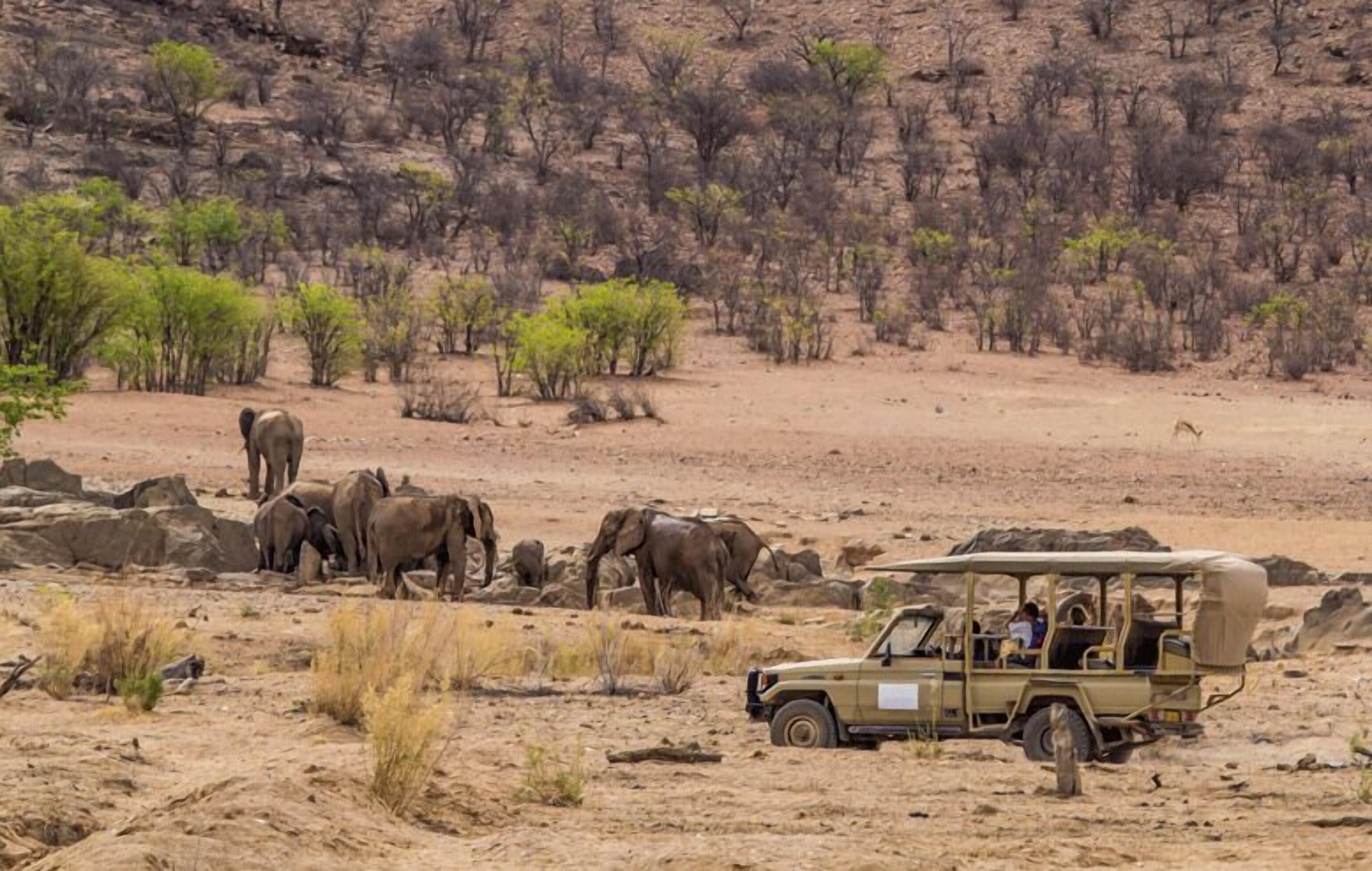 A safari vehicle with passengers observing elephants in a dry, rocky landscape with sparse vegetation.