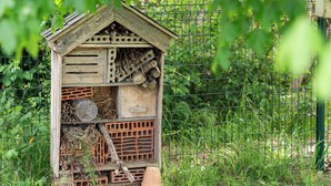 Una casa para pájaros de madera con techo inclinado, una entrada frontal y una lateral.