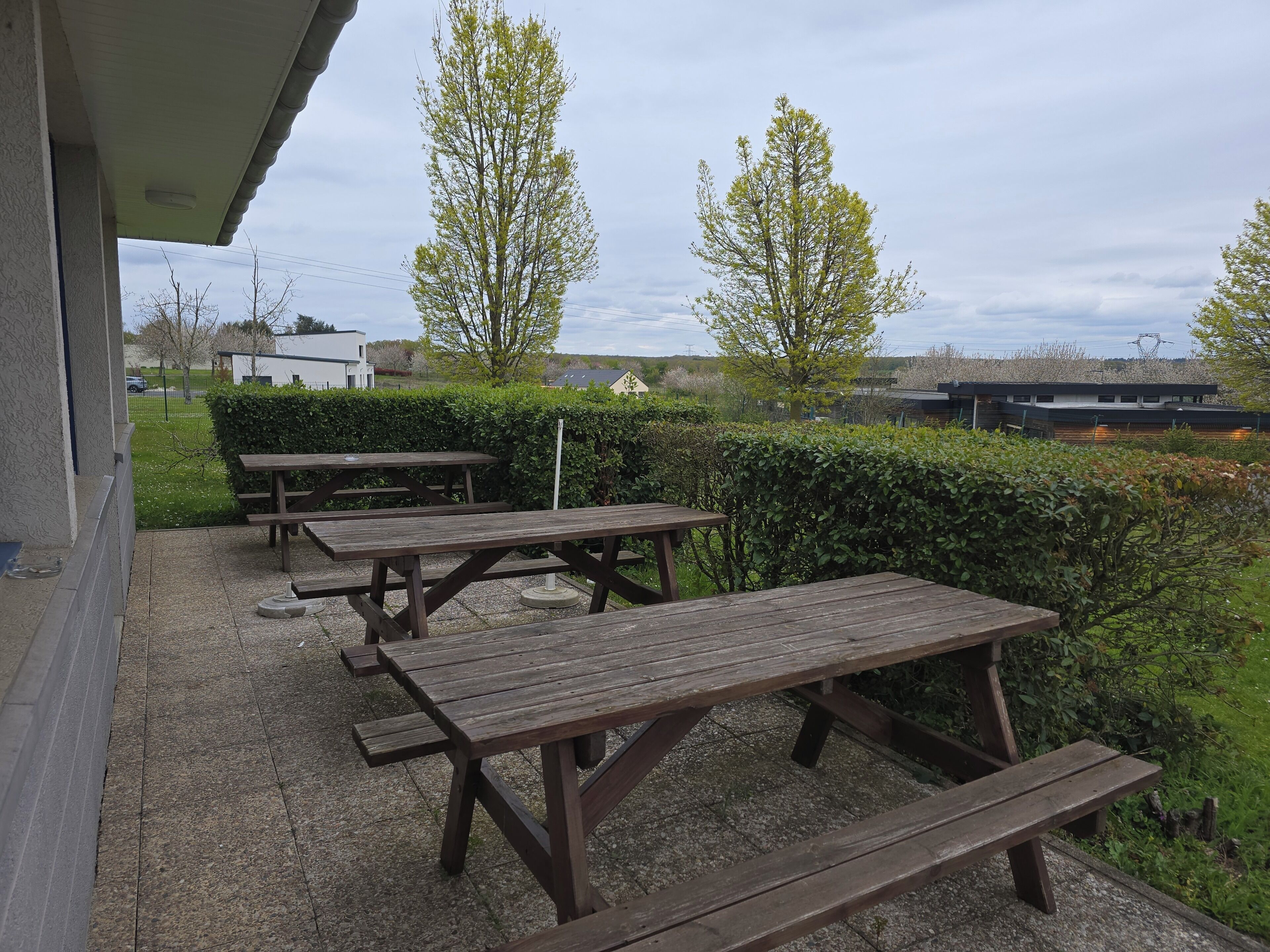 An outdoor patio with picnic tables, a hedge, and a building in the background.
