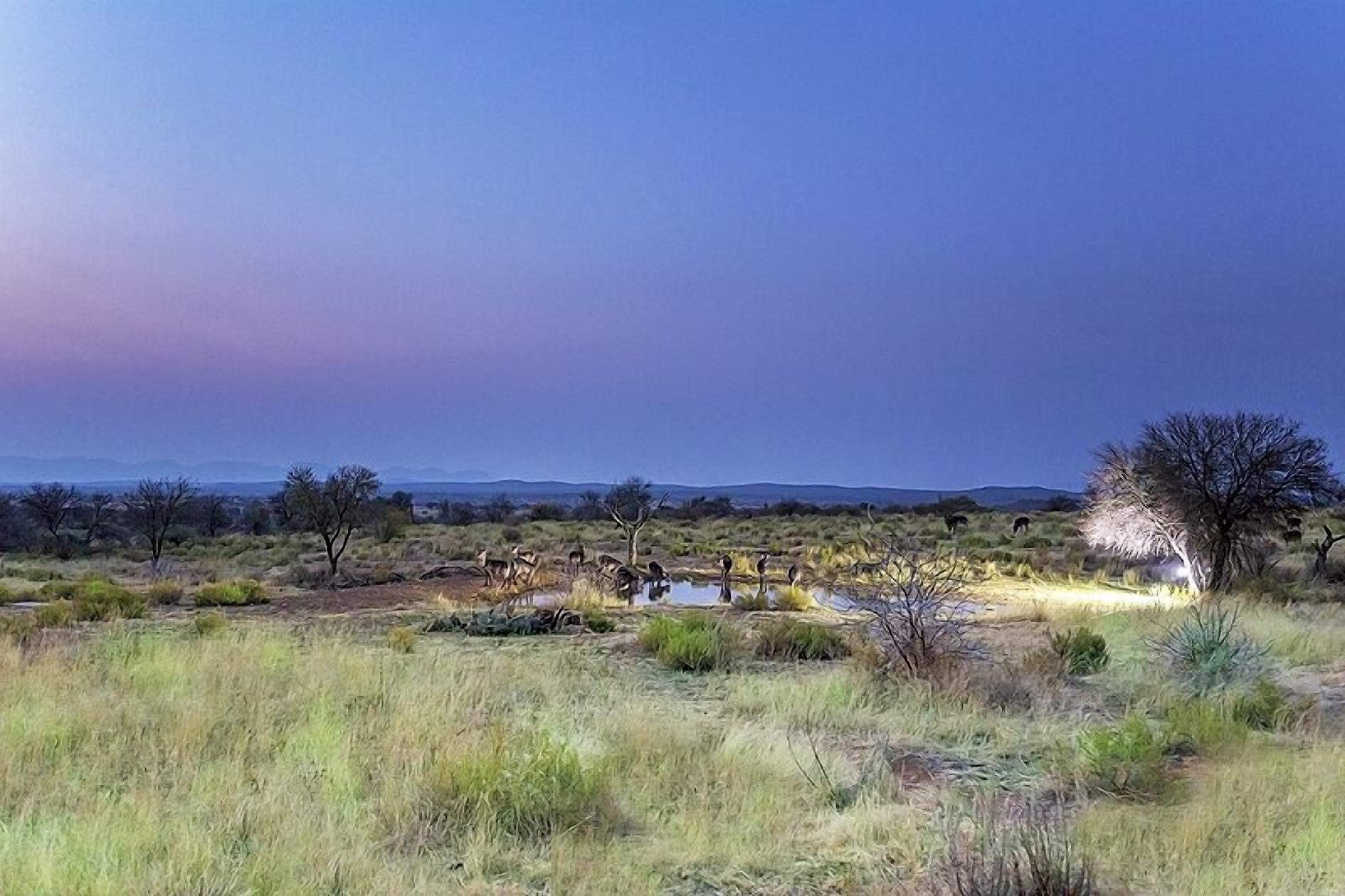 A natural landscape with a water body, trees, and distant hills.