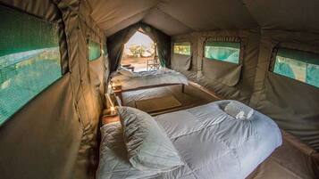 Basic Tent