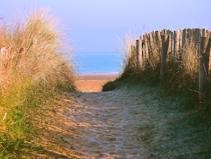 Strand