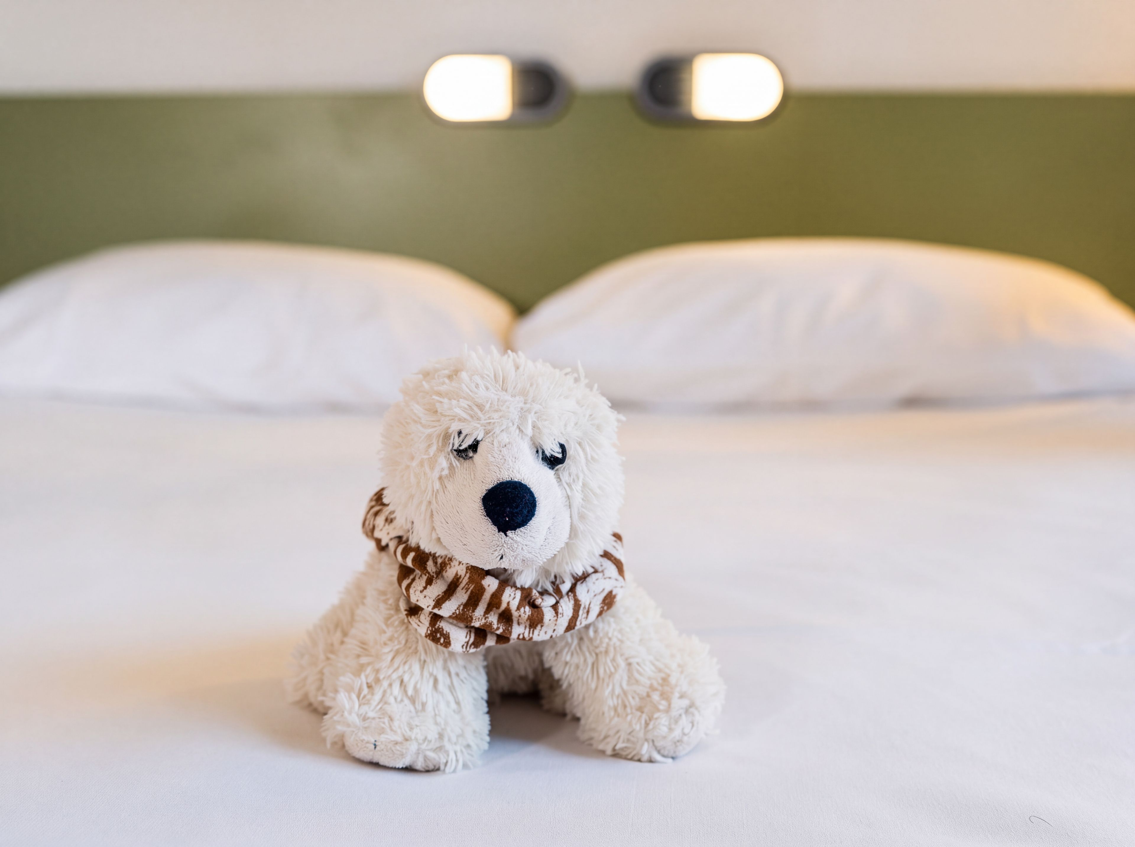 A plush toy on a bed with white bedding and pillows, against a green wall with two light fixtures.