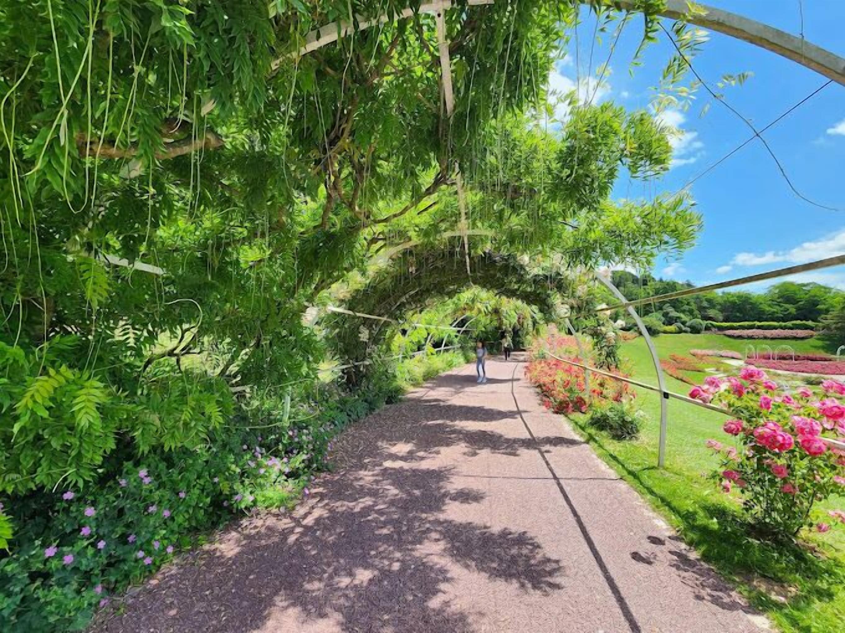 Photo - ibis Budget Caen Centre Gare