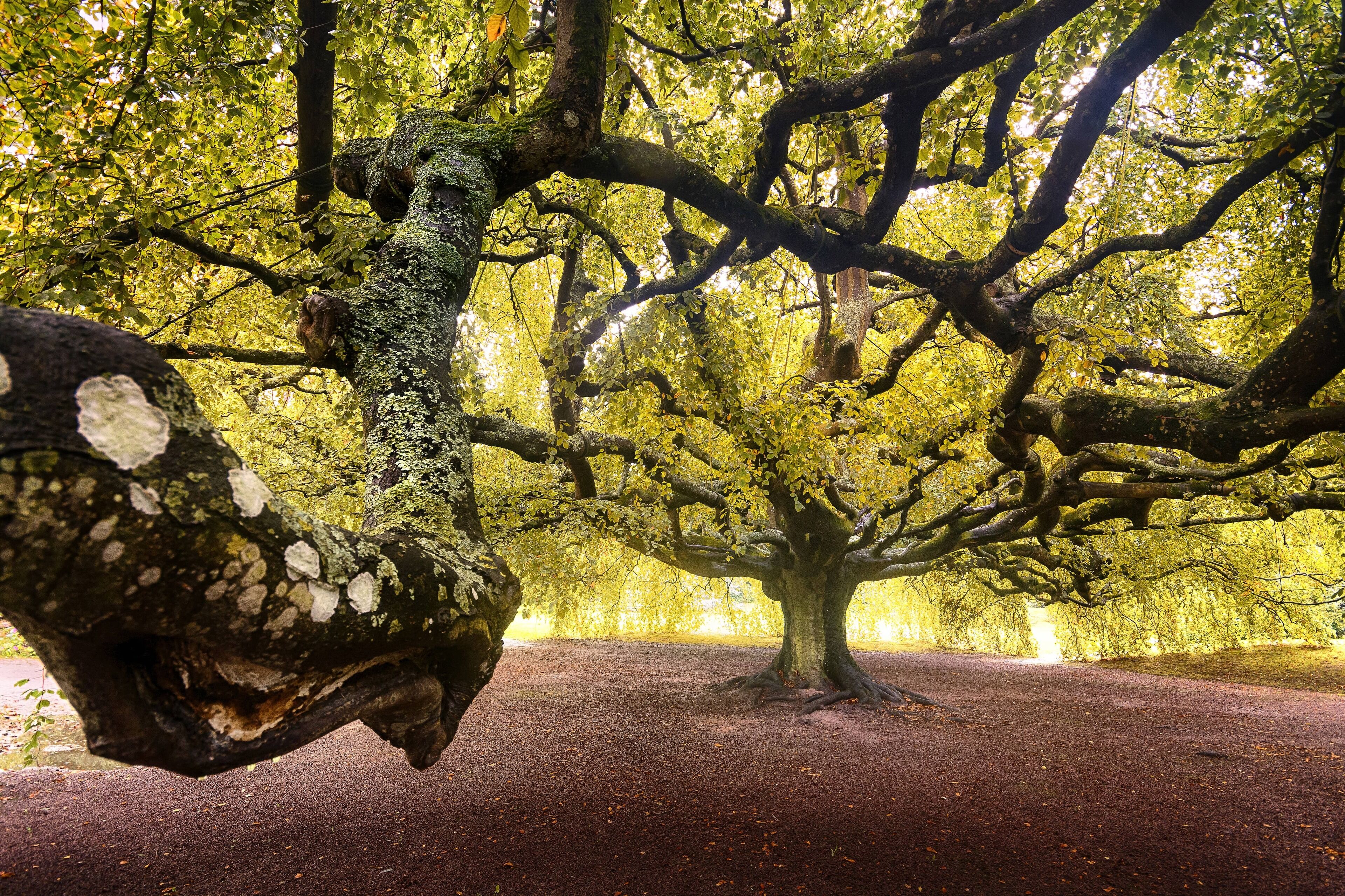 Photo - ibis Budget Caen Centre Gare