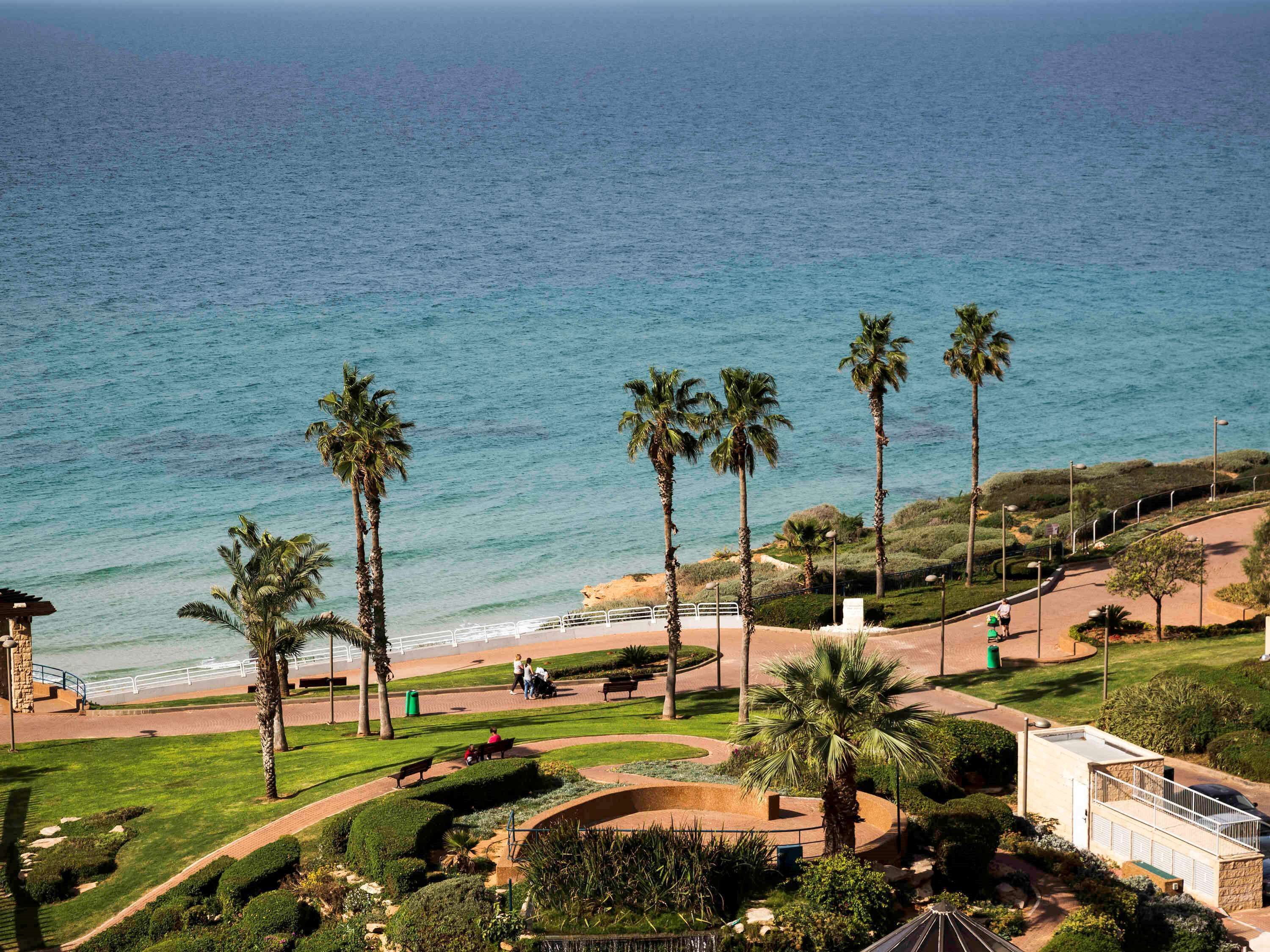 A coastal park with palm trees, a walking path, and a view of the sea.