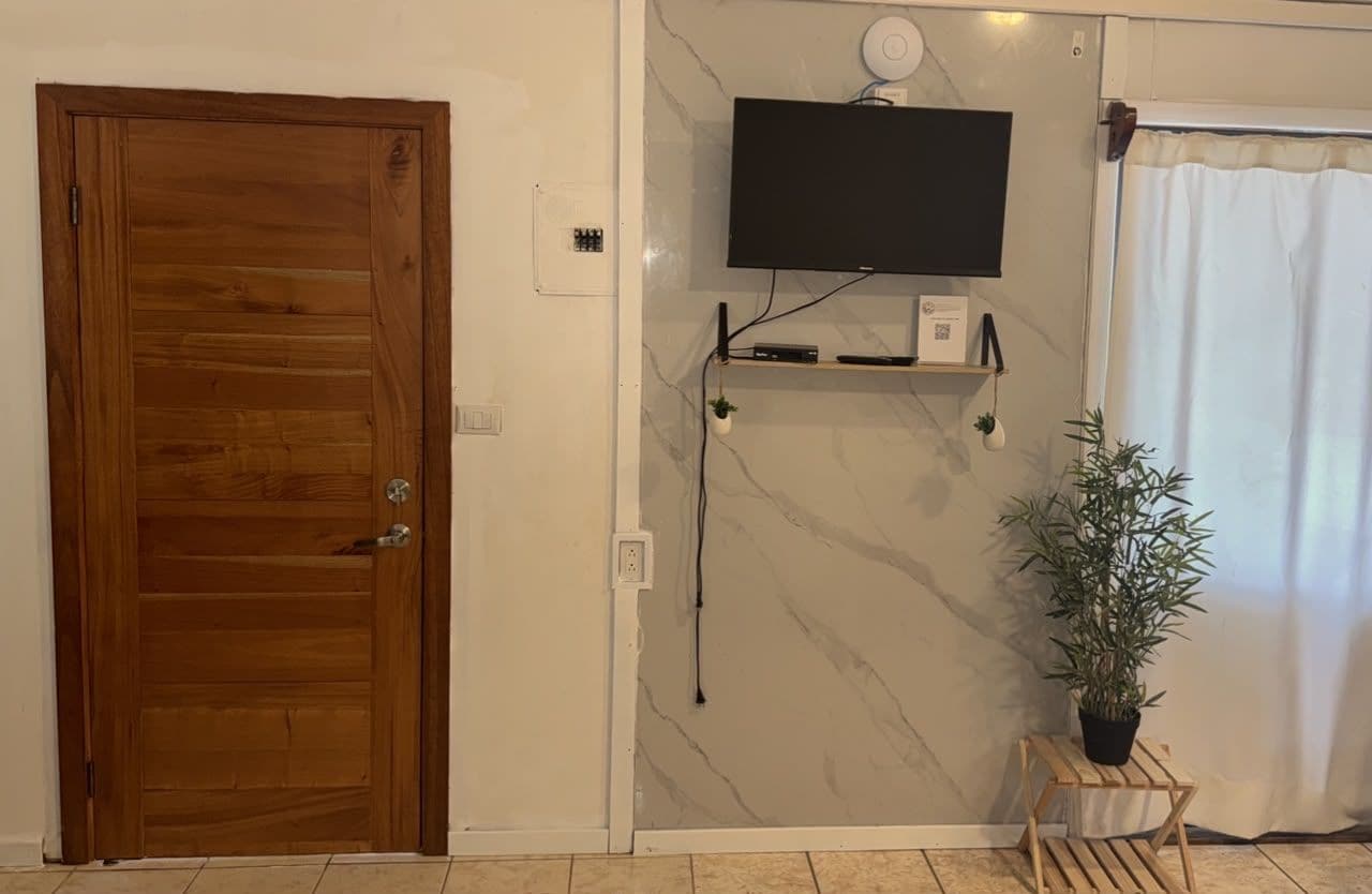 A room with a wooden door, a mounted television, a small shelf with electronic devices, and a potted plant.
