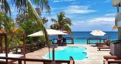 Coconut Tree West Bay