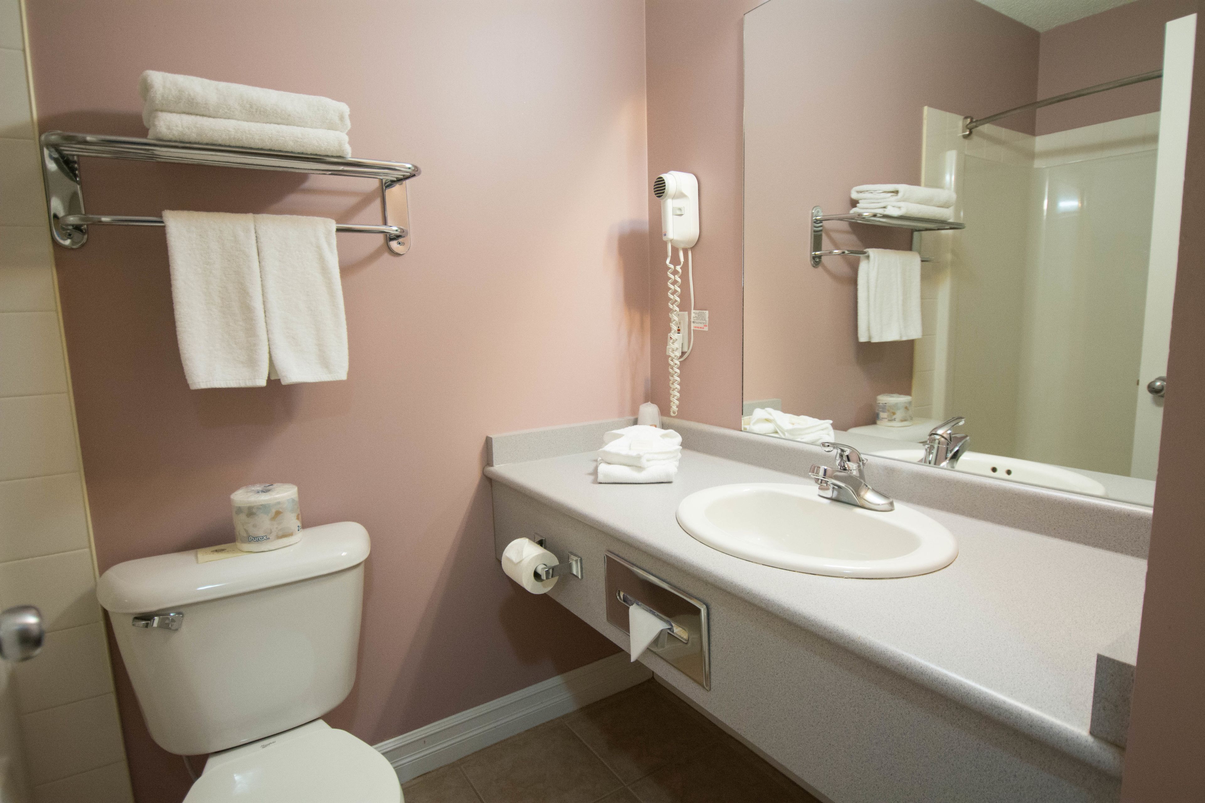 combined shower/bathtub, hair dryer, towels, soap