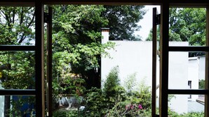 A view through a window with a white wall and greenery outside. - Casa Jacinta Guest House (Mexico City)