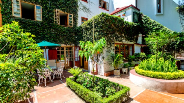 A courtyard with a seating area, a small covered table, and a potted plant. - Casa Jacinta Guest House (Mexico City)
