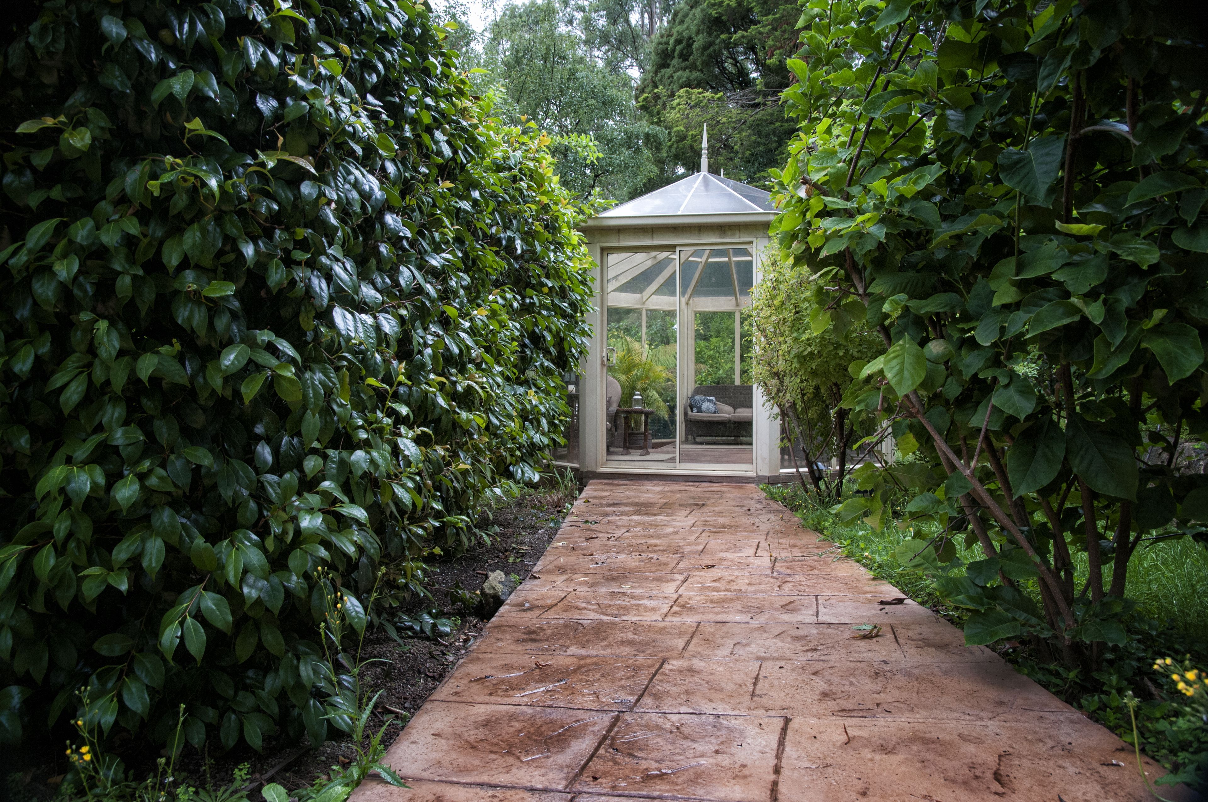 Un sentiero in giardino conduce a un gazebo con tetto in vetro, immerso nel verde.
