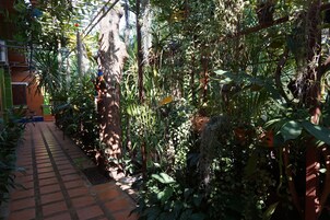 A narrow brick pathway flanked by dense tropical vegetation and a metal fence.
