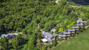 An aerial view of a residential area with multiple houses, surrounded by dense greenery. - Top of The Hill (Bald Knob)