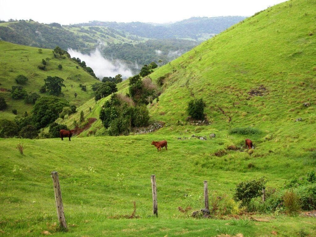 A green hillside with horses grazing and a misty valley in the background.