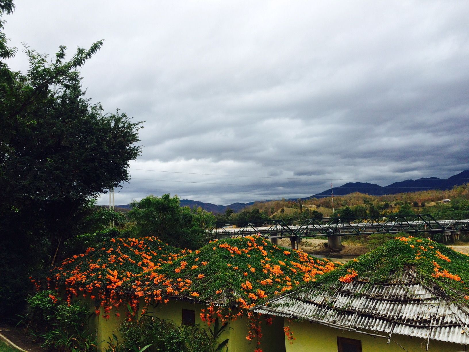 En traditionel bygning med et grønt tag dækket af orange blomster, omgivet af frodig vegetation og en overskyet himmel.