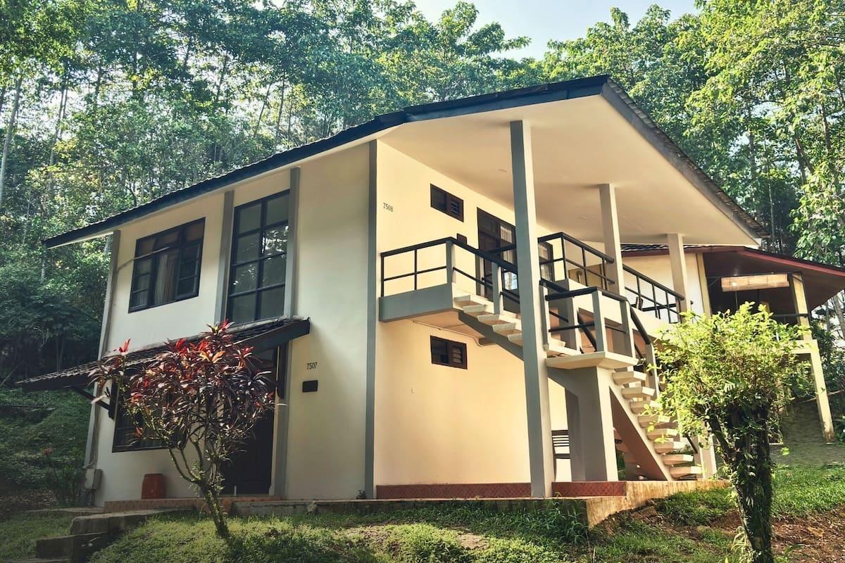 Executive Bungalow | Desk, laptop workspace, blackout curtains, free WiFi