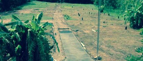 Un cementerio con un sendero pavimentado, rodeado de vegetación y árboles.