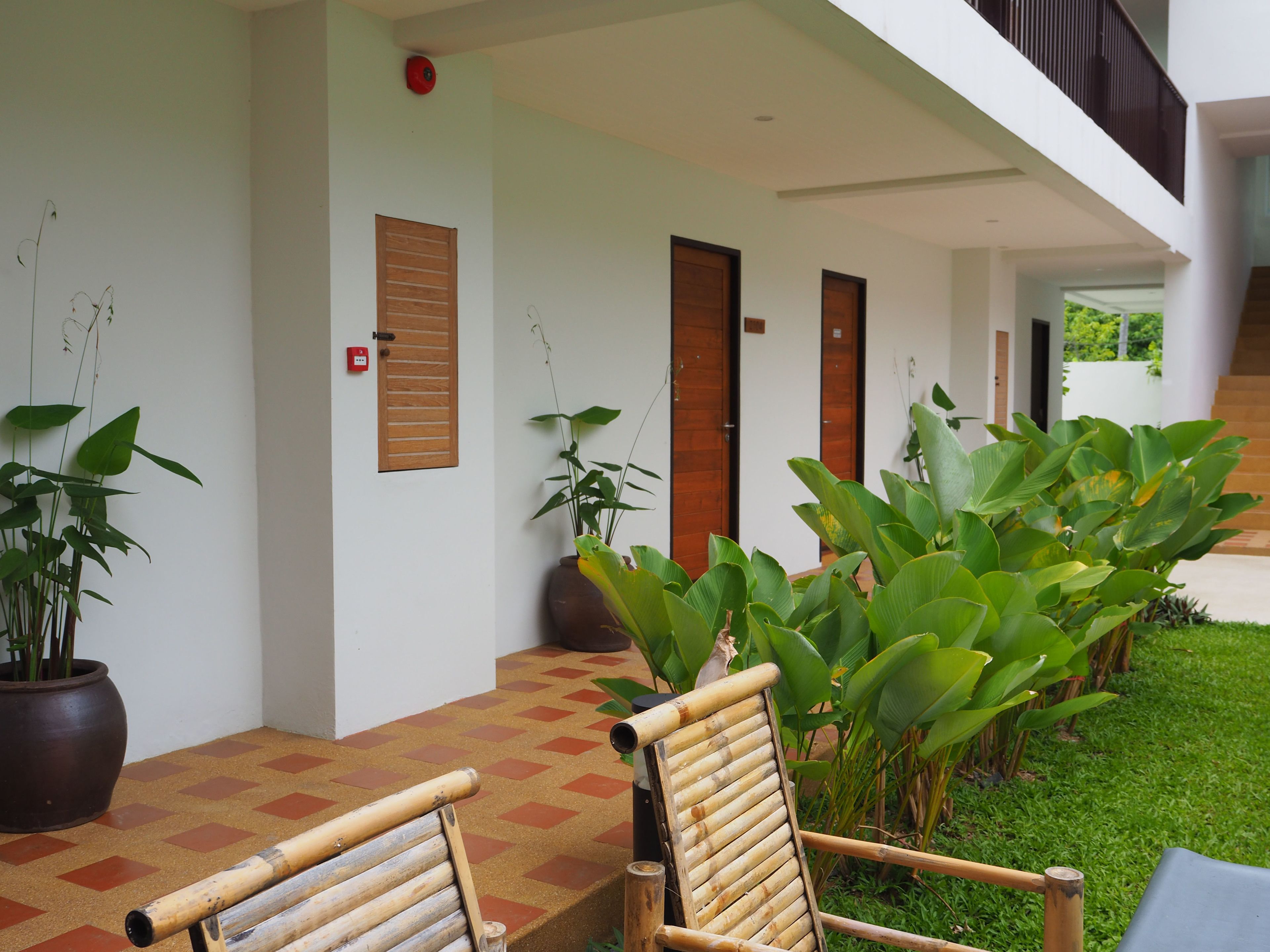 A hotel corridor with a checkered floor, wooden doors, and potted plants.