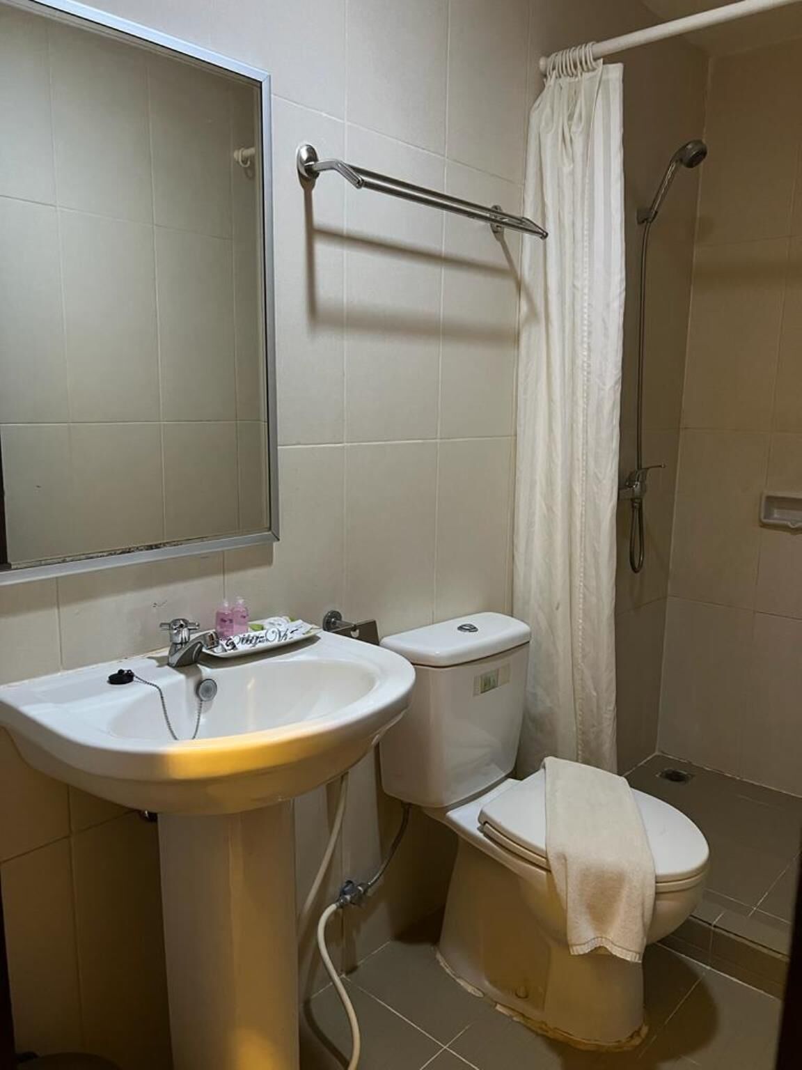 Une salle de bain avec un lavabo, des toilettes et une douche.