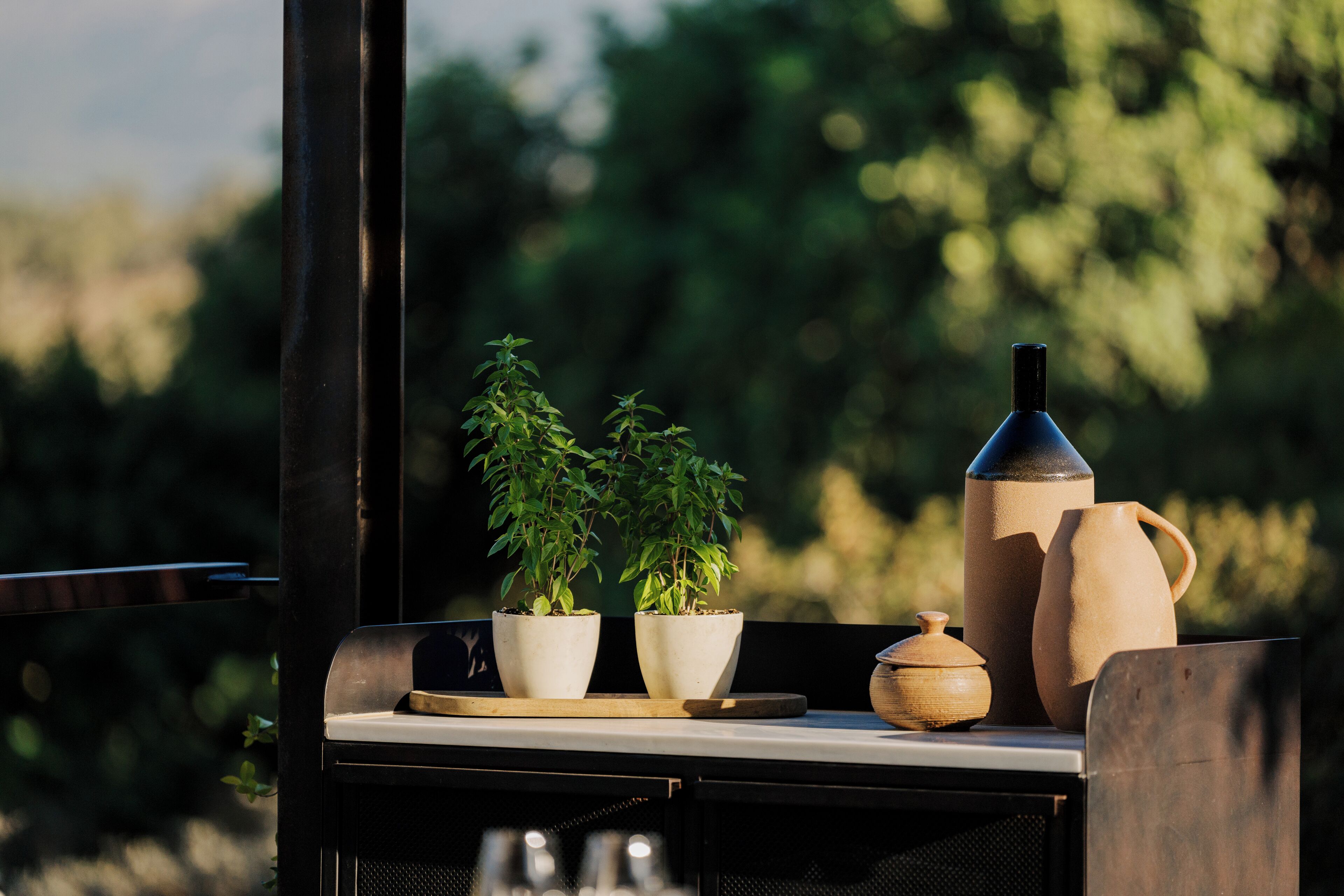 Uma mesa com duas plantas em vasos, um jarro de cerâmica e uma tigela de madeira.