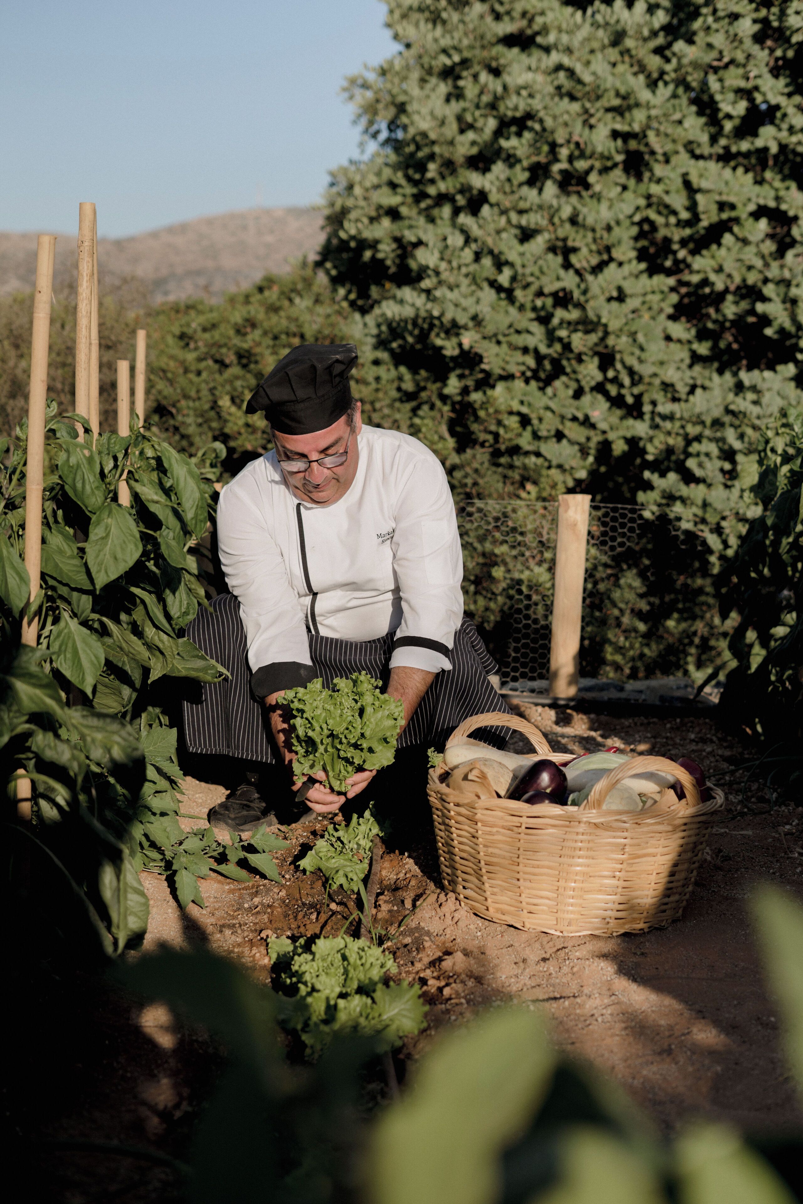 A chef in a garden, surrounded by plants and a basket of vegetables.